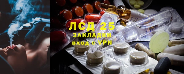 PSILOCYBIN Балахна